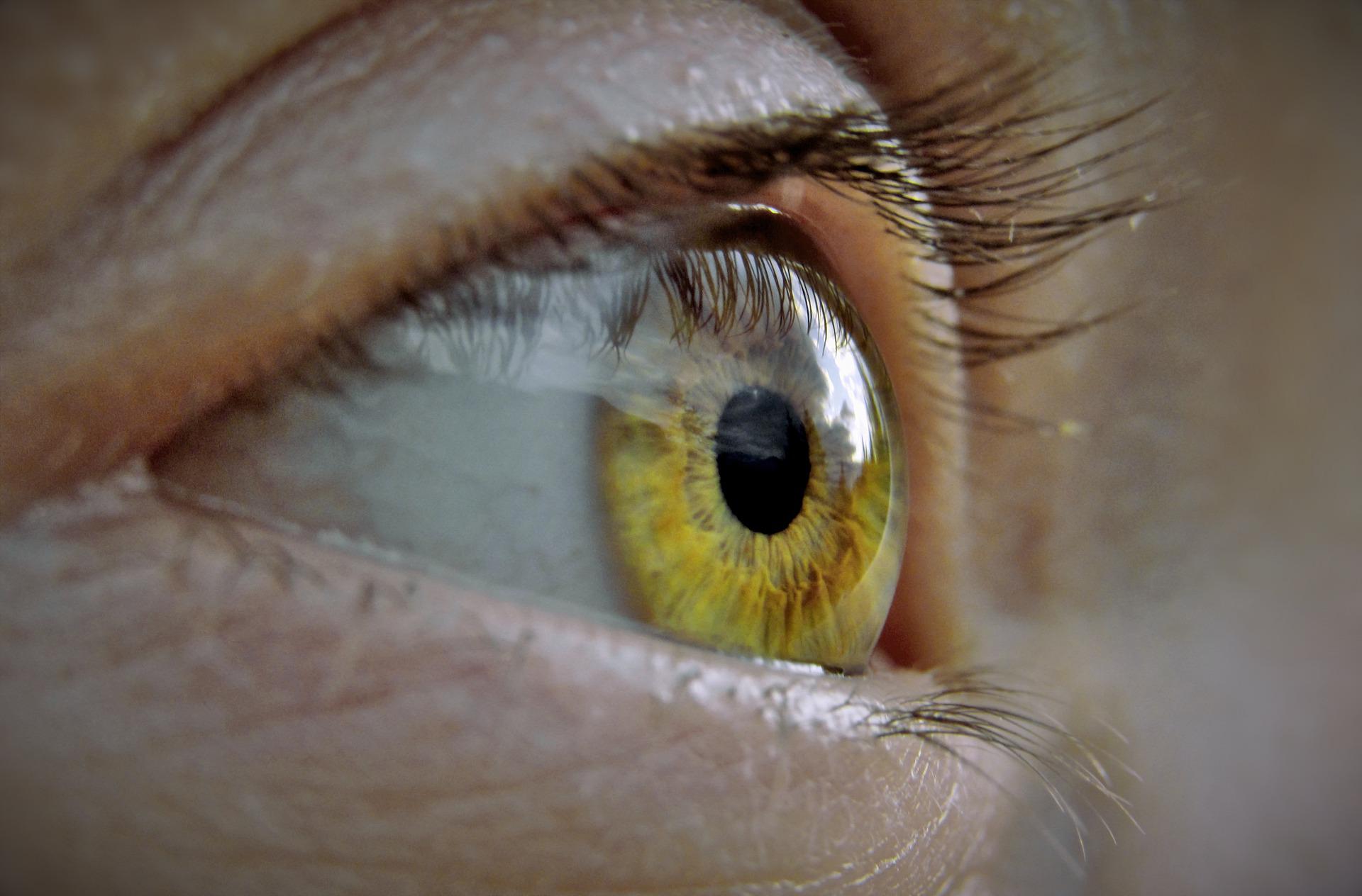 Lees meer over het artikel Een ontstoken oog? De drogist helpt je!