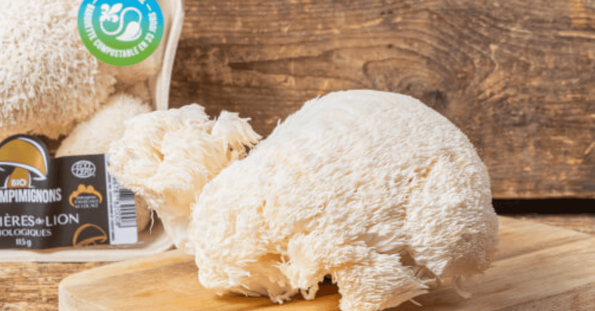 Lees meer over het artikel Lion’s Mane: Het Magische Paddenstoelen Supplement voor Je Brein
