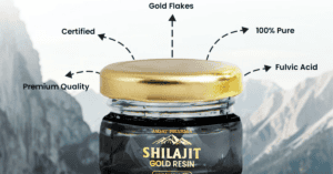 Lees meer over het artikel Wat is Shilajit? Alles Wat Je Moet Weten