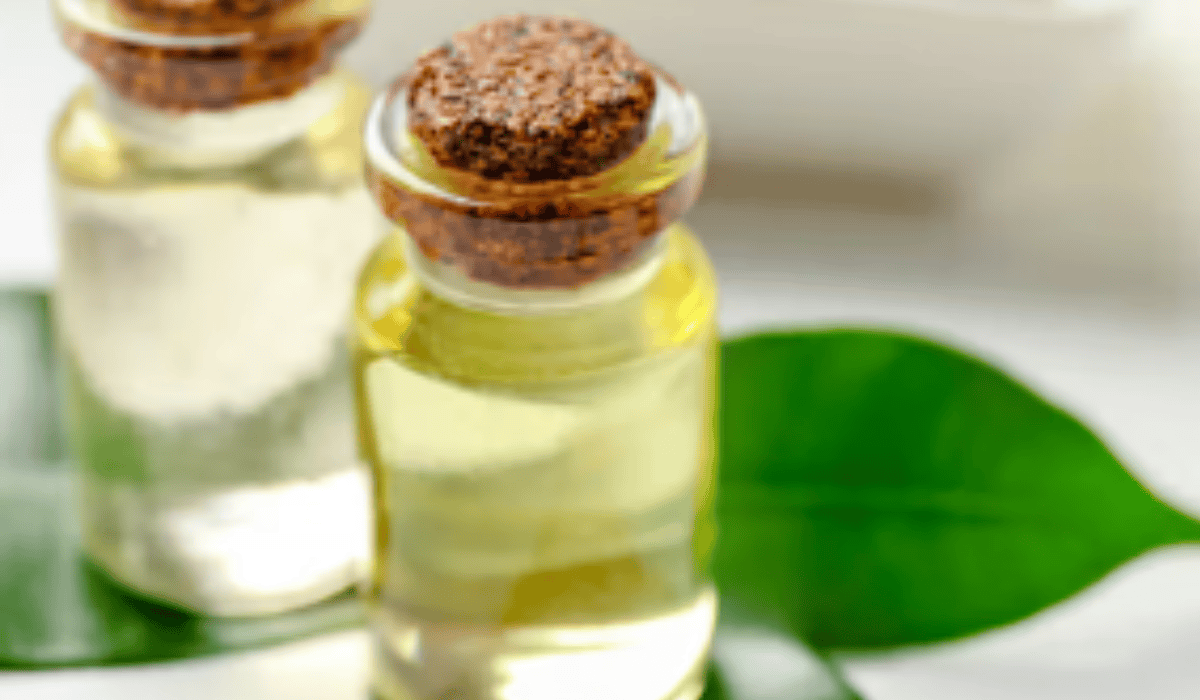 Lees meer over het artikel Tea Tree Olie: Werking op Bacteriën, Lippenherpes en Mondproblemen