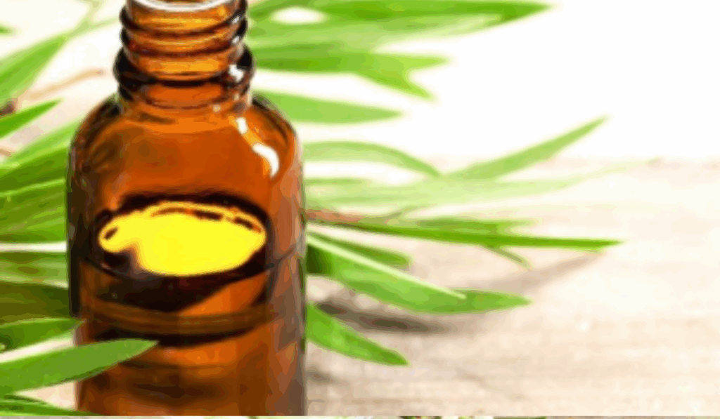 Tea Tree Olie