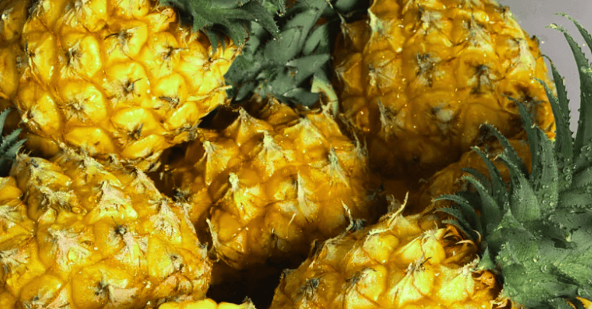 Je bekijkt nu Alles over Ananas: Gezondheidsvoordelen, Snijden & De Ananasplant