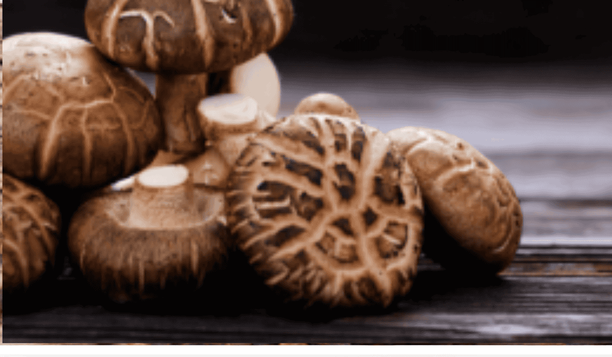 Je bekijkt nu Shiitake & Shilajit – Natuurlijke Remedies en Gezondheid