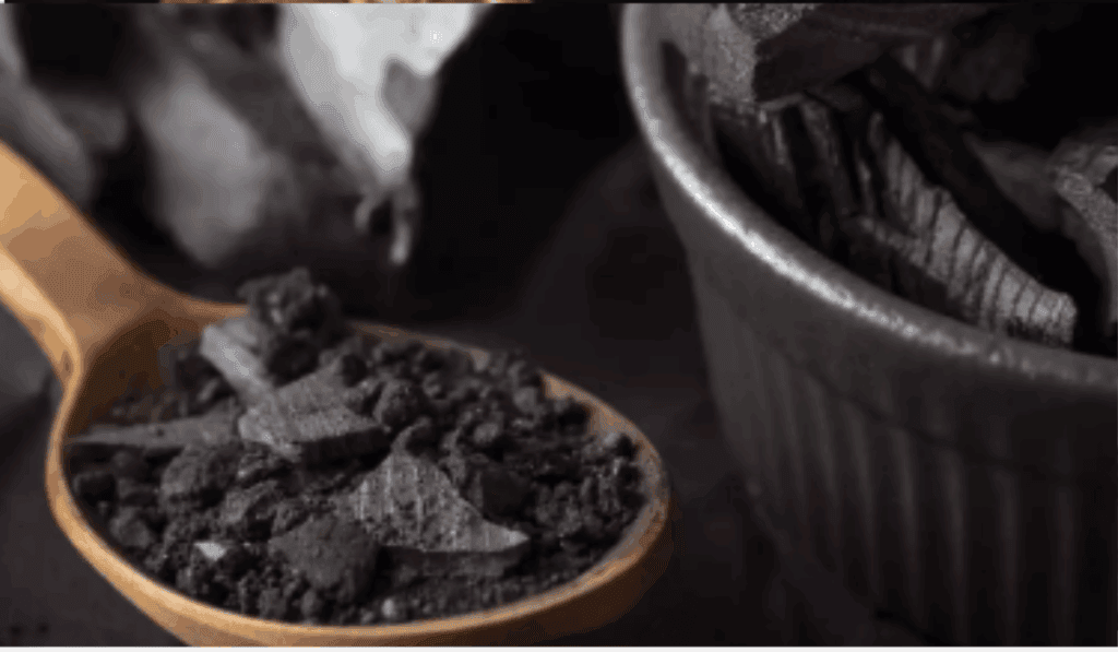 Shiitake & Shilajit