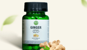 Lees meer over het artikel Gember: De Ultieme Gids Voor Gezondheid, Recepten en Supplementen