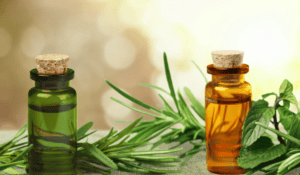 Lees meer over het artikel Tea Tree Olie: Antibacterieel, Schimmelwerking en Huidverzorging
