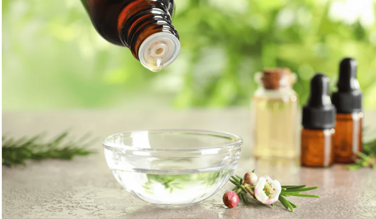 Lees meer over het artikel Tea Tree Olie: Complete Gids voor Puistjes en Huidverzorging