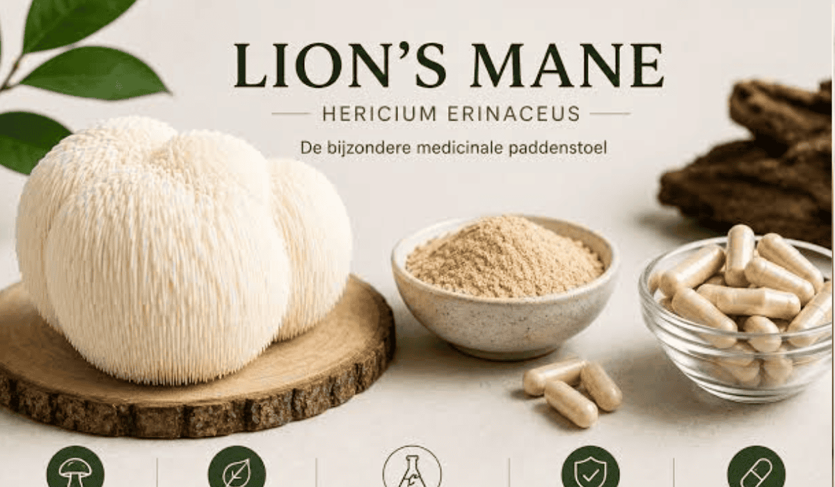 Lion’s Mane
