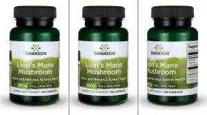 Lees meer over het artikel Lion’s Mane: Betekenis, Nederlandse naam en Hericium erinaceus supplement